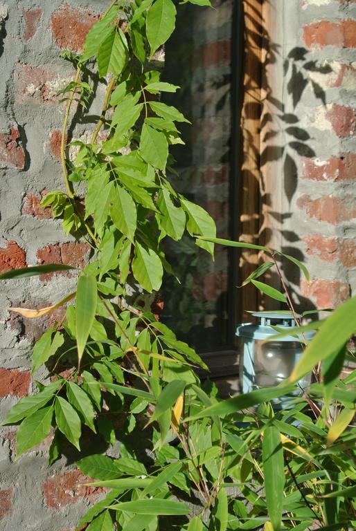 De Buur Van Beer Ypres Dış mekan fotoğraf